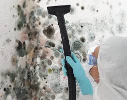 Why You Should Choose Our Mold Remediation Services in Brunswick, MD